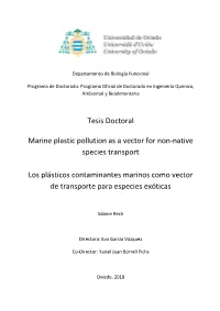 Tesis Doctoral Marine Plastic Pollution As a Vector for Non-Native Species