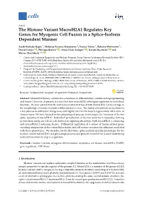 The Histone Variant Macroh2a1 Regulates Key Genes for Myogenic Cell Fusion in a Splice-Isoform Dependent Manner
