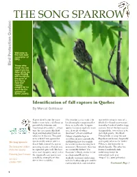 The Song Sparrow