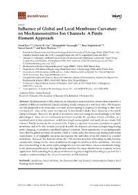 Influence of Global and Local Membrane