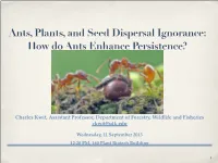 Ants, Plants, and Seed Dispersal Ignorance: How Do Ants Enhance Persistence?