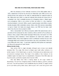 RNA and ITS STRUCTURE, FUNCTION and TYPES with The