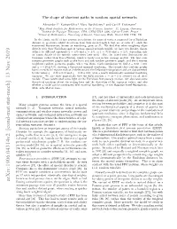 The Shape of Shortest Paths in Random Spatial Networks