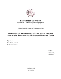Assessment of Local Knowledge of Cactus Pear and the Value Chain of Cactus Oil in the Governorates of Kairouan and Kasserine, Tunisia
