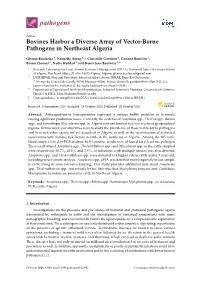 Bovines Harbor a Diverse Array of Vector-Borne Pathogens in Northeast Algeria