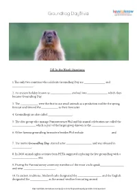 Groundhog Day Trivia Answers