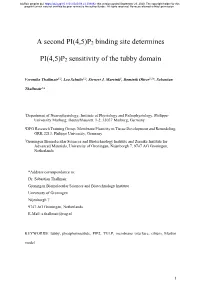 P2 Binding Site Determines PI(4,5)P2 Sensitivity of the Tubby Domain