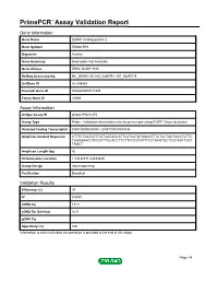 Primepcr™Assay Validation Report