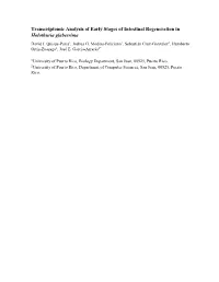 Transcriptomic Analysis of Early Stages of Intestinal Regeneration in Holothuria Glaberrima David J