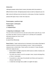 Vision-In-Arthropoda.Pdf