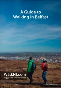 A Guide to Walking in Belfast