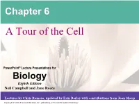 Chapter 6 a Tour of the Cell