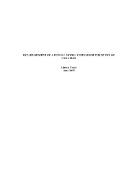 Establishment of a Fungal Model System for the Study of Ciliation