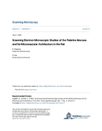 Scanning Electron Microscopic Studies of the Palatine Mucosa and Its Microvascular Architecture in the Rat