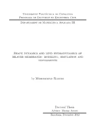 Shape Dynamics and Lipid Hydrodynamics of Bilayer Membranes: Modeling, Simulation and Experiments