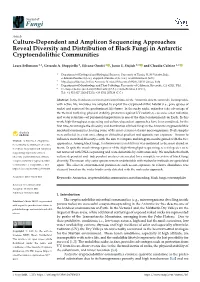 Culture-Dependent and Amplicon Sequencing Approaches Reveal Diversity and Distribution of Black Fungi in Antarctic Cryptoendolithic Communities
