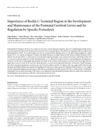 Importance of Reelin C-Terminal Region in the Development and Maintenance of the Postnatal Cerebral Cortex and Its Regulation by Specific Proteolysis