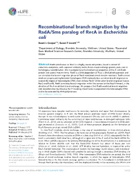 Recombinational Branch Migration by the Rada/Sms Paralog of Reca in Escherichia Coli Deani L Cooper1,2, Susan T Lovett1,2*