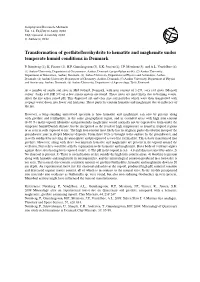 Transformation of Goethite/Ferrihydrite to Hematite and Maghemite Under Temperate Humid Conditions in Denmark