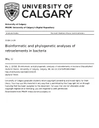 Bioinformatic and Phylogenetic Analyses of Retroelements in Bacteria