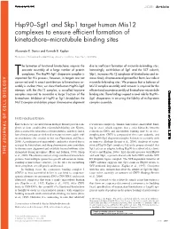 Hsp90–Sgt1 and Skp1 Target Human Mis12 Complexes to Ensure Efficient Formation of Kinetochore–Microtubule Binding Sites