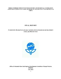 Interim Report