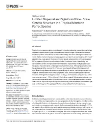 Scale Genetic Structure in a Tropical Montane Parrot Species