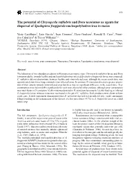 The Potential of Chrysoperla Rufilabris and Doru Taeniatum As Agents For