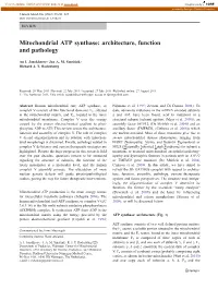 Mitochondrial ATP Synthase: Architecture, Function and Pathology