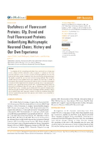 Gfp, Dsred and Fruit Fluorescent Proteins Inidentifying Multisynaptic Neuronal Chains. History and Our Own Experience
