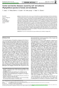 &lt;I&gt; Phytophthora&lt;/I&gt;