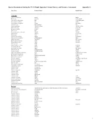 Species Encountered During the PLUS Rapid Appraisal, Formal Survey, and Resource Assessment Appendix E. Animals Insects