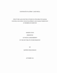 Structure and Function Studies on the Herg Potassium Channel Including the Development and Characteriza Tion of Membrane Mimetics