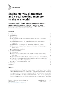 Scaling up Visual Attention and Visual Working Memory to the Real World