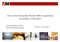How Is the European Patent Office Supporting Innovation in Europe?
