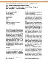 The Structure of Neurospora Crassa 3-Carboxy-Cis,Cis-Muconate Lactonizing Enzyme, a ␤ Propeller Cycloisomerase