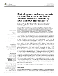 Distinct Summer and Winter Bacterial Communities in the Active Layer of Svalbard Permafrost Revealed by DNA- and RNA-Based Analyses
