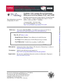 TLR8 Differences Between Human TLR7 and Synthetic TLR Agonists