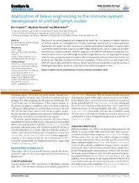 Application of Tissue Engineering to the Immune System: Development of Artificial Lymph Nodes