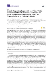 Circuits Regulating Superoxide and Nitric Oxide