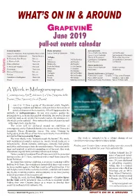 June 2019 Issue