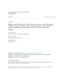 Bilaterian Phylogeny Based on Analyses of a Region of the Sodium