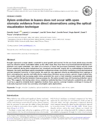 Evidence from Direct Observations Using the Optical Visualization Technique