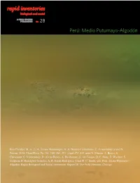 Perú: Medio Putumayo-Algodón Medio Perú: 28 No