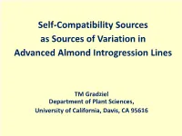 Self-Compatibility Sources As Sources of Variation in Advanced Almond Introgression Lines