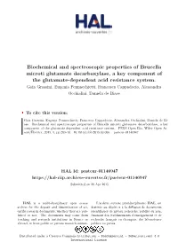 Biochemical and Spectroscopic Properties of Brucella Microti Glutamate Decarboxylase, a Key Component of the Glutamate-Dependent Acid Resistance System