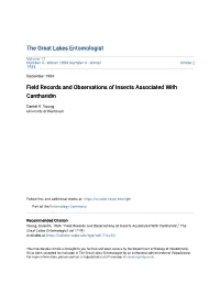 Field Records and Observations of Insects Associated with Cantharidin