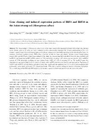Gene Cloning and Induced Expression Pattern of IRF4 and IRF10 in the Asian Swamp Eel (Monopterus Albus)