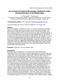 An Account of Common Broomrape Orobanche Minor (Orobanchaceae) in the British Isles