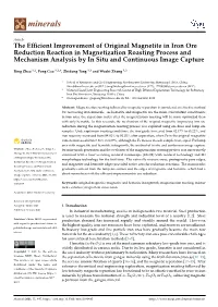 The Efficient Improvement of Original Magnetite in Iron Ore Reduction